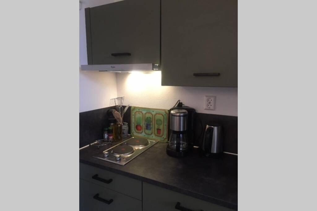 Tiny House Holland Villa Oudesluis  Ngoại thất bức ảnh